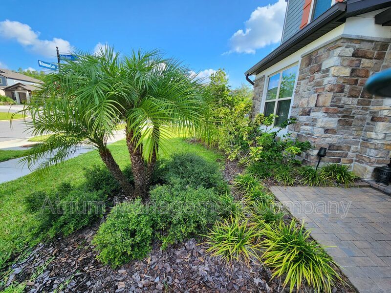 Luxury 5 Bedroom 5 Bath in Tampa Bay Area!!! Available 1/10/2026 property image