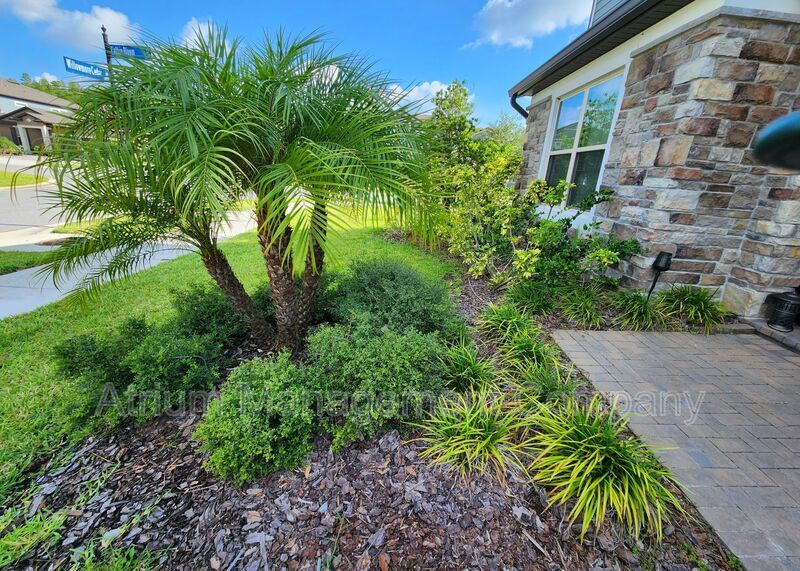 Luxury 5 Bedroom 5 Bath in Tampa Bay Area!!! Available 1/10/2026 property image