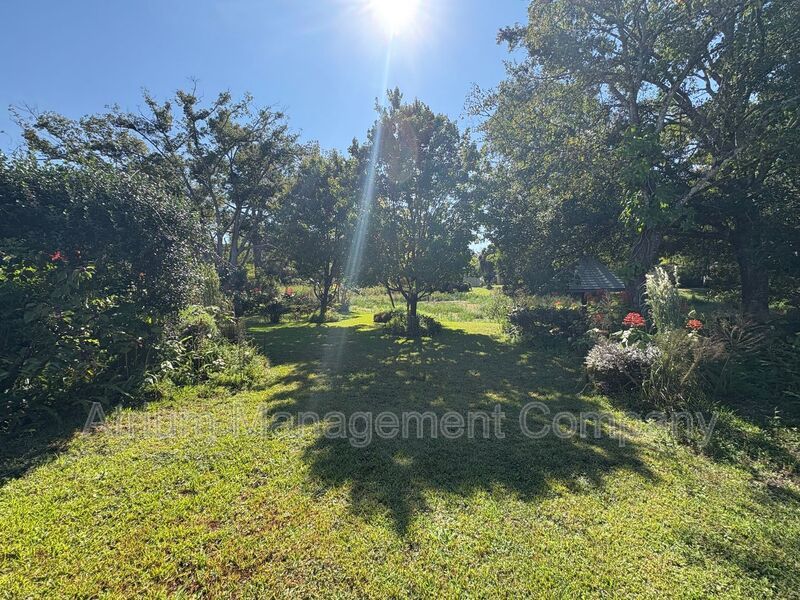 Spacious 3-Bedroom Home in Beautiful DeBary – Comfort, Style & Relaxation! property image