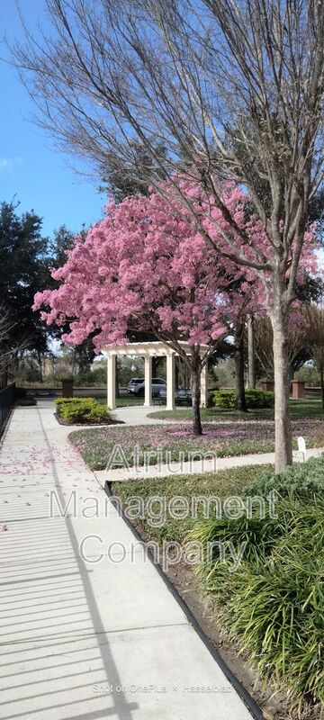 Beautiful Home for Rent in Prime Oviedo Location – AVAILABLE NOW! property image