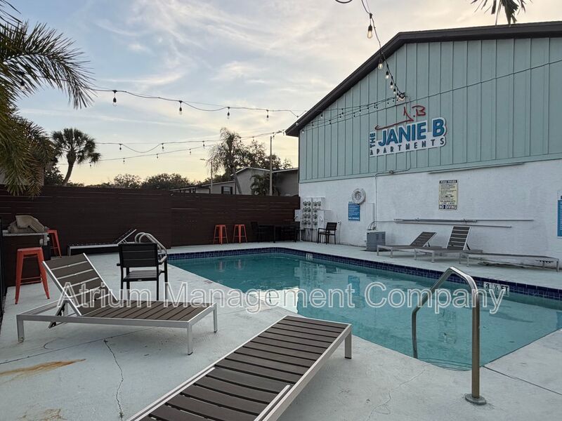 Brand New SEMINOLE HEIGHTS On The River Apartment! property image