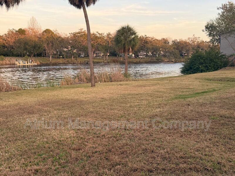 Brand New SEMINOLE HEIGHTS On The River Apartment! property image