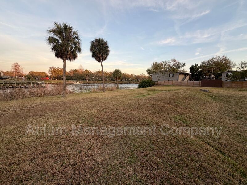 Brand New SEMINOLE HEIGHTS On The River Apartment! property image