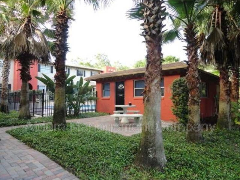 Beautiful 1 Bed 1 Bath Apartment for Rent in Orlando, FL! property image