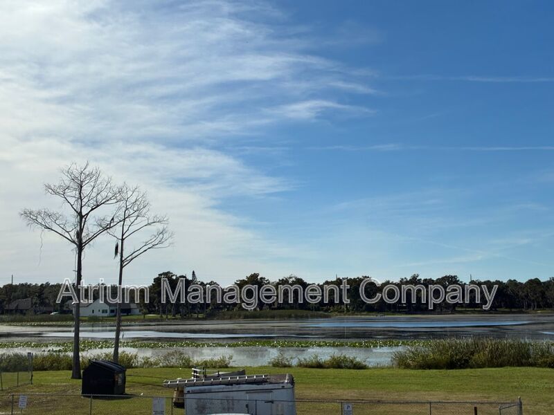 Gated Community Gem: Turnkey 2/2 in Emerald Lake property image